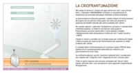 Arkocapsule Linea Drenante Pilosella Integratore Alimentare 90 Capsule