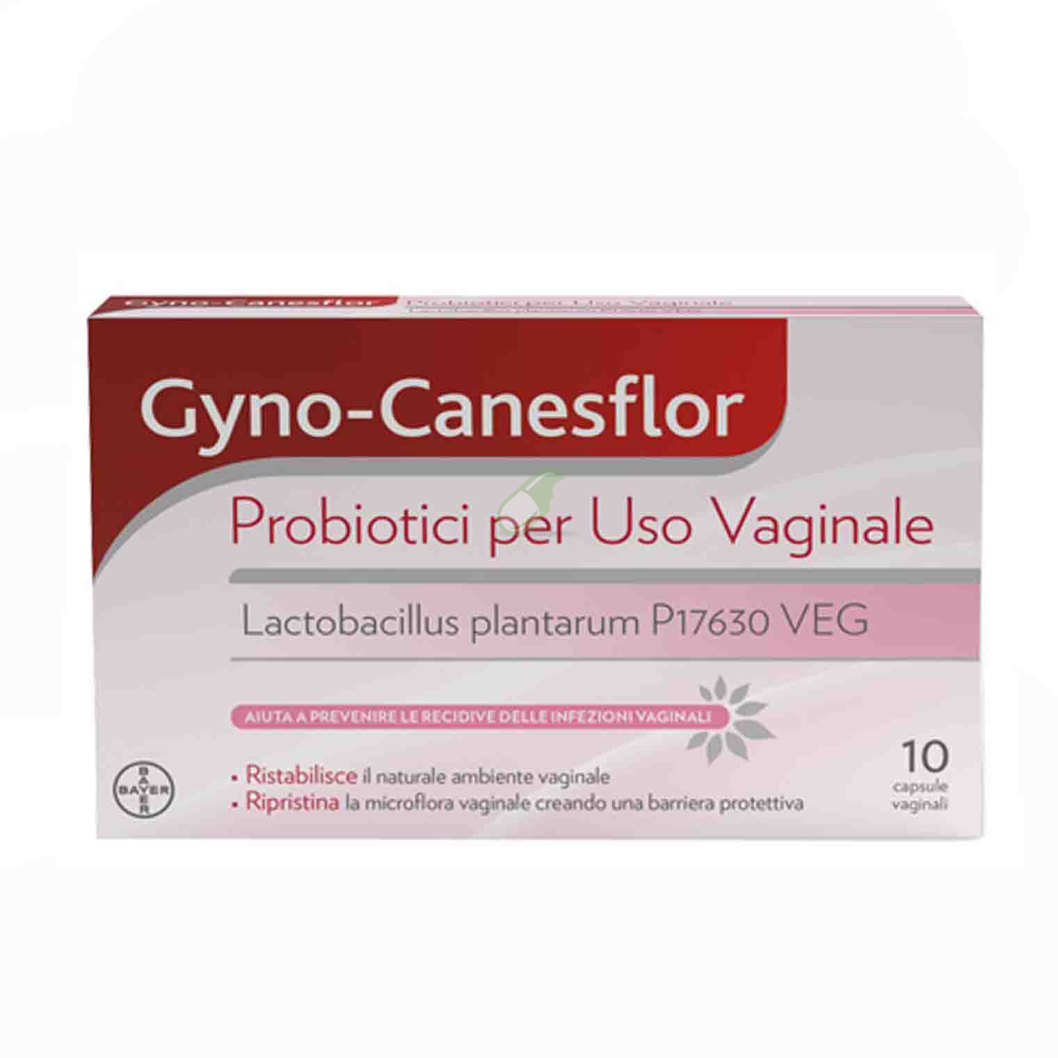 Bayer Linea Intima Gyno-Canesflor Probiotico per uso vaginale 10 Cps Vaginali