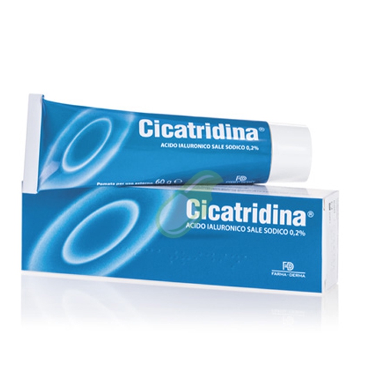 Farma-Derma Linea Medicazione Cicatridina Pomata 60 G