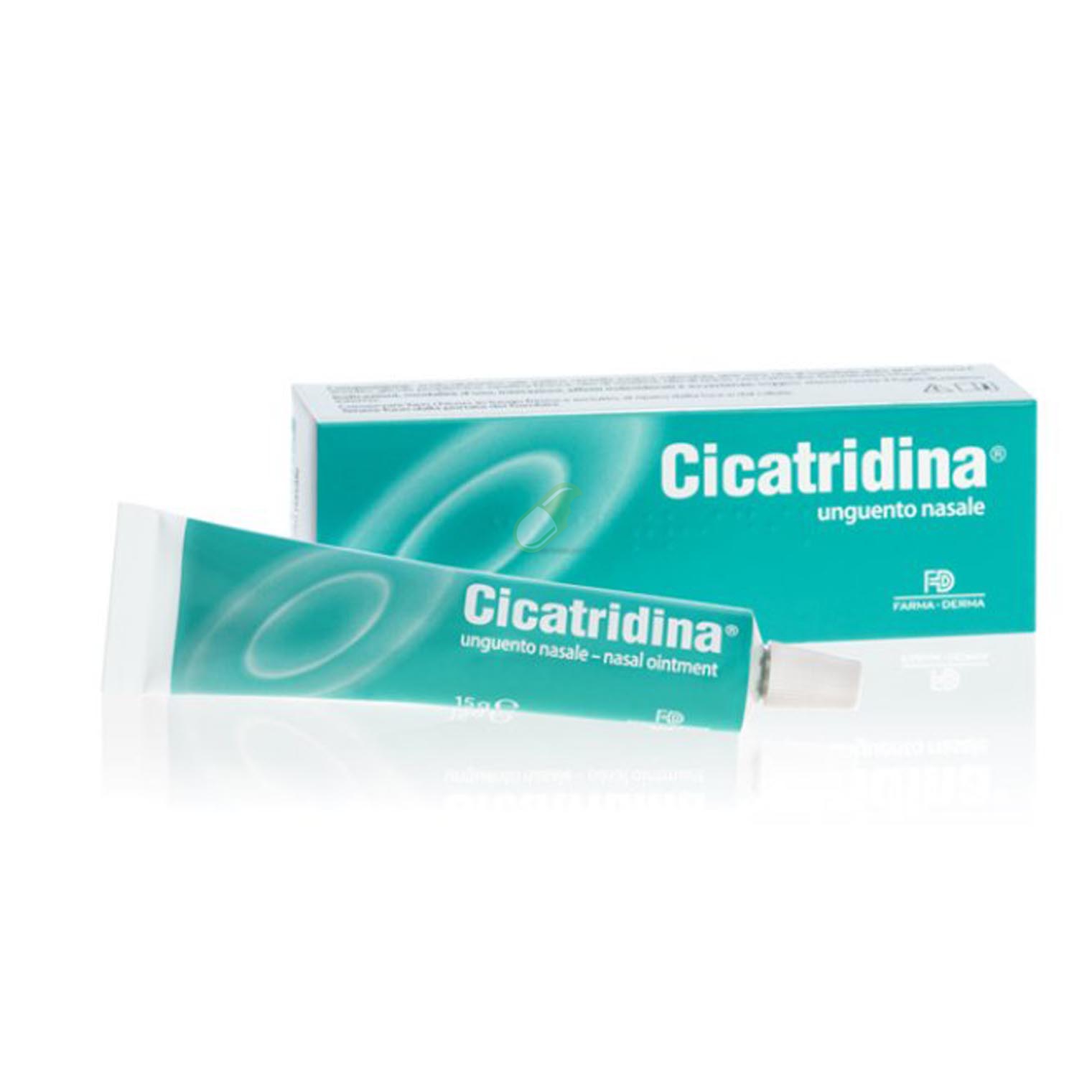 Farma-Derma Linea Medicazioni Cicatridina Unguento Nasale 15 g