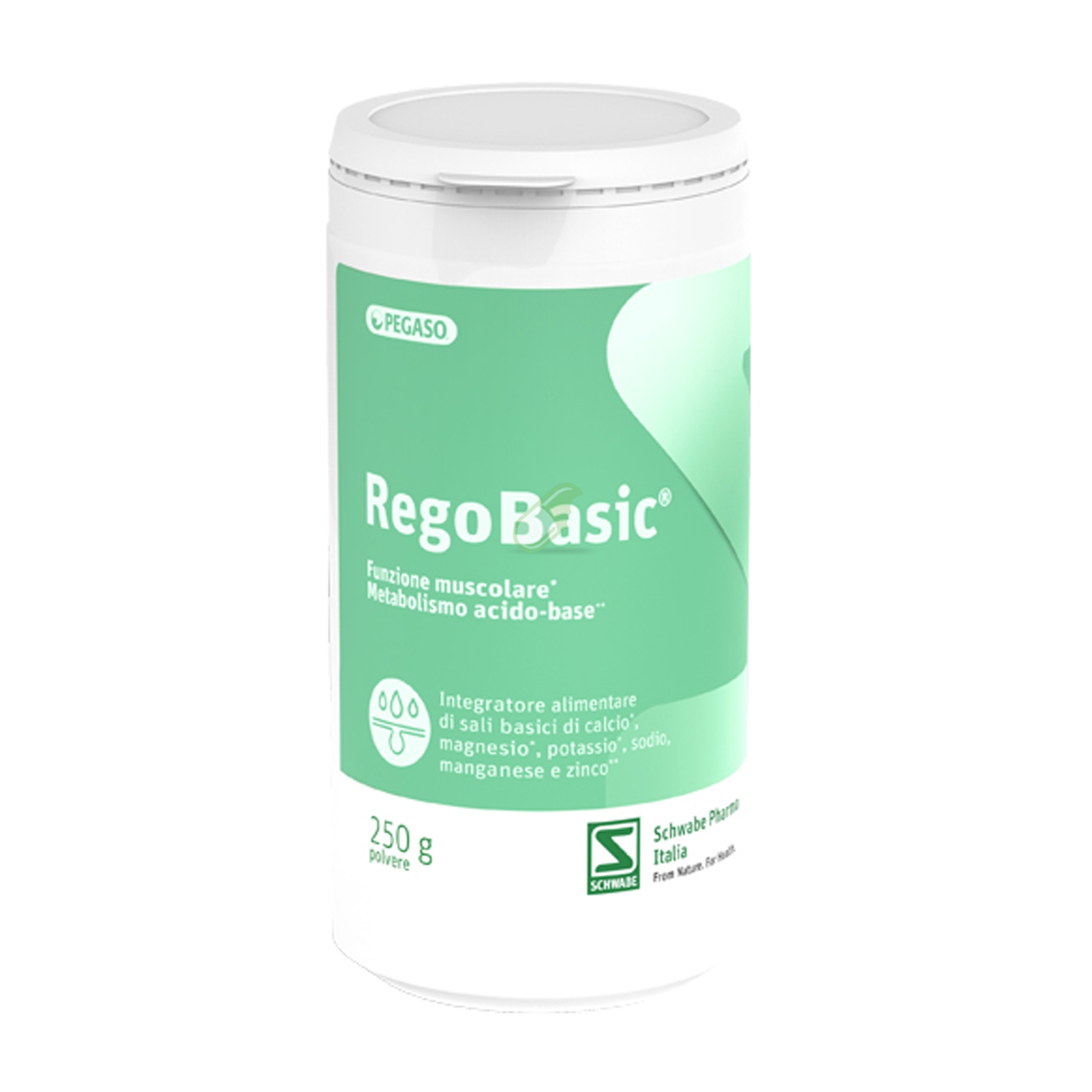 Schwabe Pharma Linea Alcalinizzanti Regobasic Integratore polvere 250 g