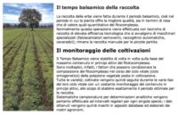 Aboca Linea Igiene del Naso Fitonasal Spray Concentrato 30 ml