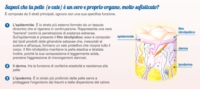 Bepanthenol Sensiderm Linea Bambini crema prurito e arrossamento 20 g